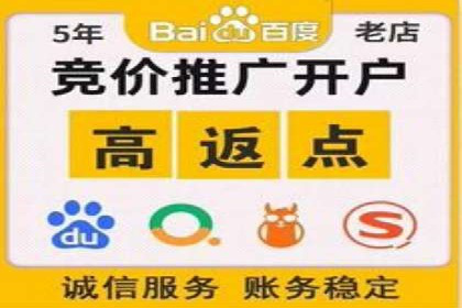 SEO百度推广策略：成功案例解析